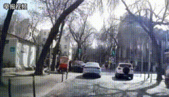 美国总统特朗普正取乌克兰总统泽连斯基通乌构